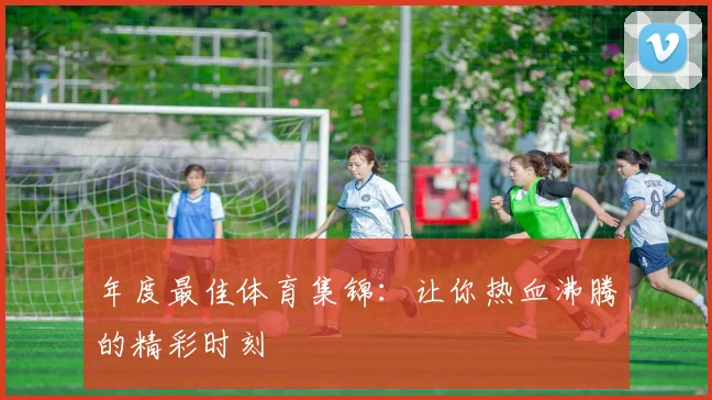 年度最佳体育集锦：让你热血沸腾的精彩时刻