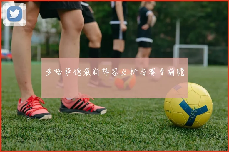 多哈萨德最新阵容分析与赛季前瞻